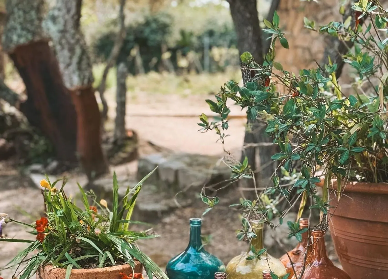 Farm stay Agriturismo Il Muto Di Gallura Aggius