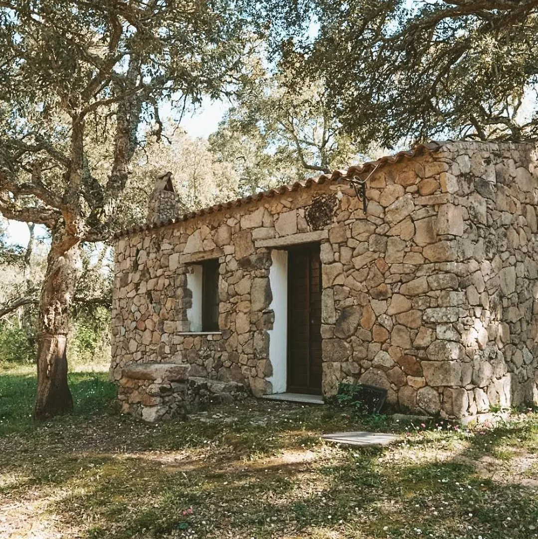 Κατάλυμα σε φάρμα Agriturismo Il Muto Di Gallura Aggius