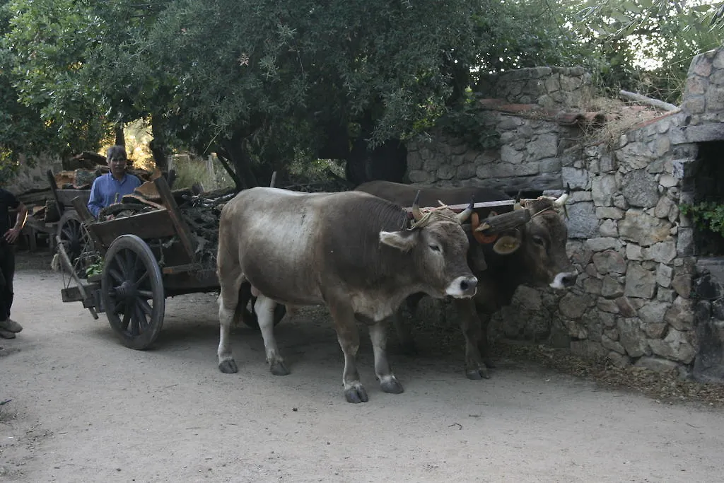 Agriturismo Il Muto Di Gallura Aggius