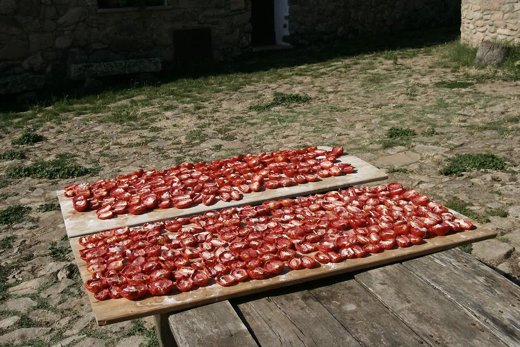 Farm stay Agriturismo Il Muto Di Gallura Aggius