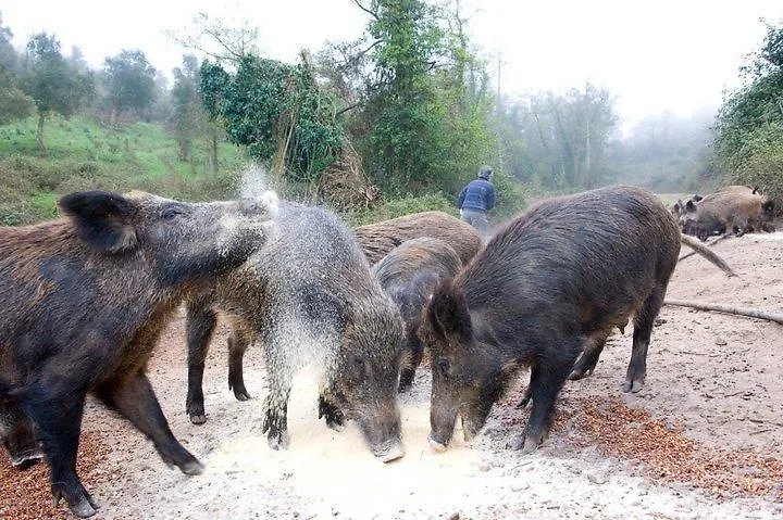 Agriturismo Il Muto Di Gallura Aggius Farm stay