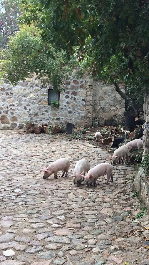 Agriturismo Il Muto Di Gallura Aggius Farm stay